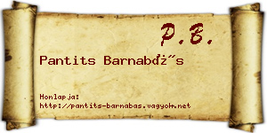 Pantits Barnabás névjegykártya